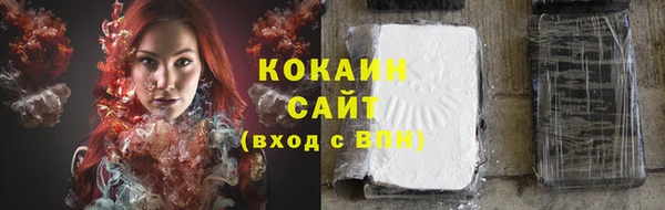 винт Щучье
