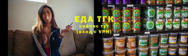 стаф Щигры