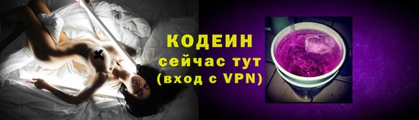 стаф Щигры