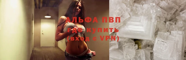 стаф Щигры