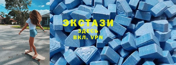 стаф Щигры