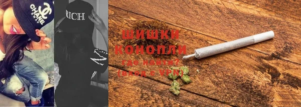 стаф Щигры