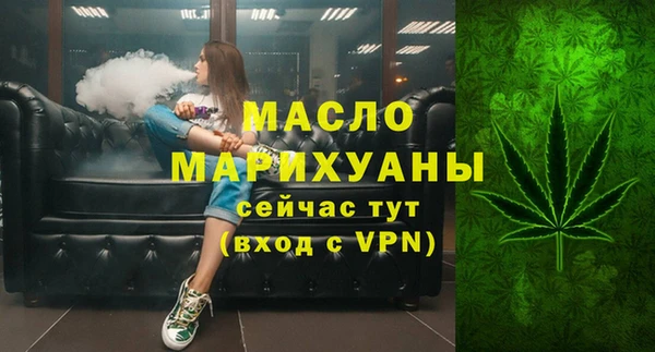 стаф Щигры