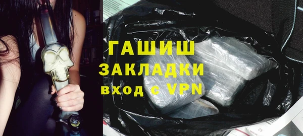 стаф Щигры