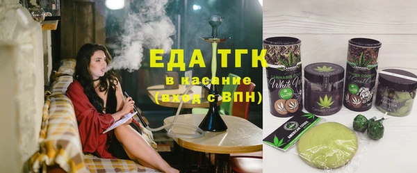 стаф Щигры