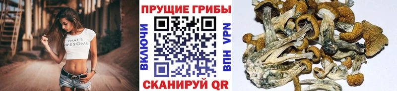 Галлюциногенные грибы Magic Shrooms  цена наркотик  Анадырь 