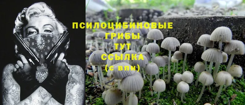 Псилоцибиновые грибы Magic Shrooms  Анадырь 